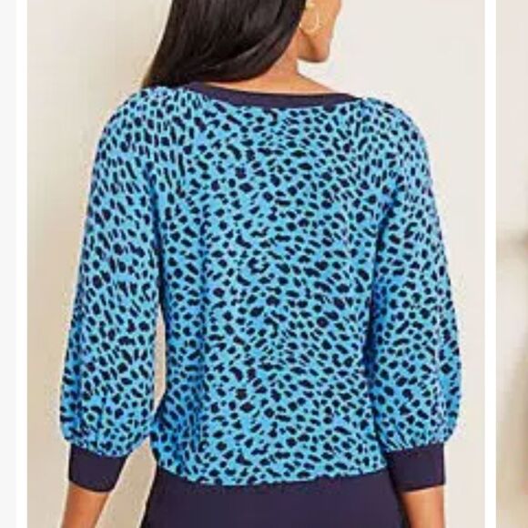 Ann Taylor leopard print, raglan sleeve sweater in deep waves blue, XS - Picture 4 of 6